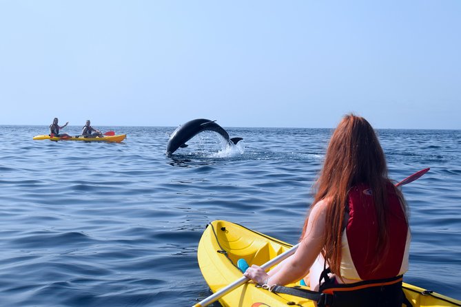 Tenerife: Turtle & Dolphin Kayak Tour with Snorkel & Wetsuit - Who Should Book This Turtle and Dolphin Tour in Tenerife?