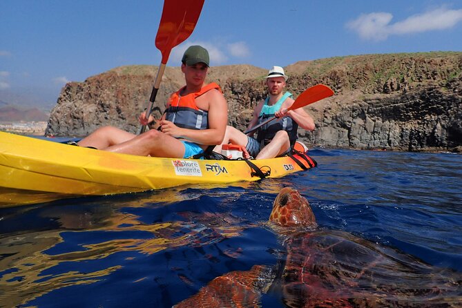 Tenerife: Turtle & Dolphin Kayak Tour with Snorkel & Wetsuit - Kayak Session Along Los Cristianos and the Guaza Mountains