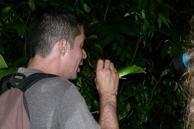 The best of Tortuguero: Canoe, hike and night tour (turtle in Jul-Oct) - Should you book this Tortuguero day tour?