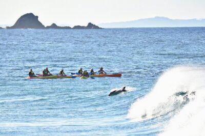 The Byron Bay Sea Kayak Tour - From Clarkes Beach to the lighthouse route: how the itinerary plays in real life