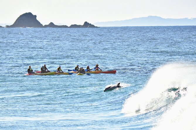 The Byron Bay Sea Kayak Tour - From Clarkes Beach to the lighthouse route: how the itinerary plays in real life