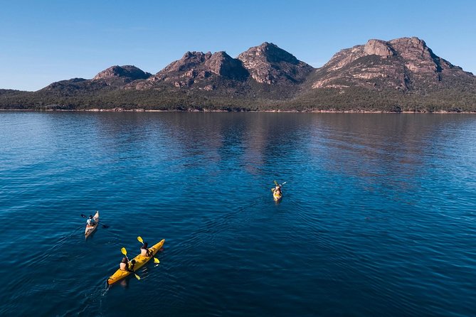 The Freycinet Paddle - Wildlife, The Hazards, and What to Watch For