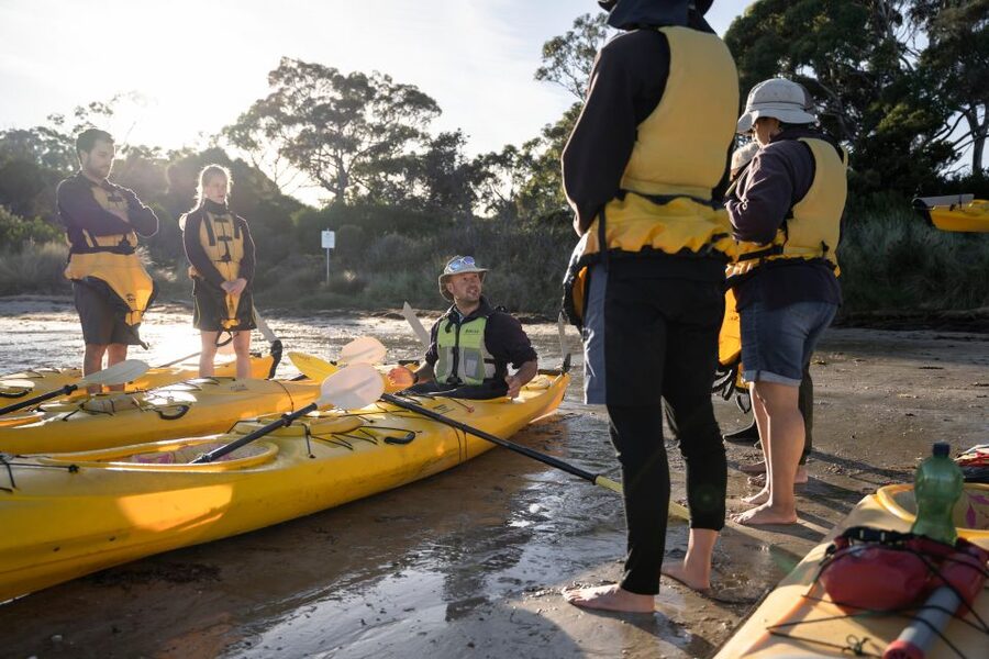 The Freycinet Paddle Kayak Tour - Who This Tour Suits Best (and Who Should Think Twice)