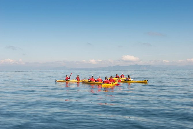 The Maori Carvings Half Day Kayak - Maori Rock Carvings: The Main Moment (and the Weather Catch)