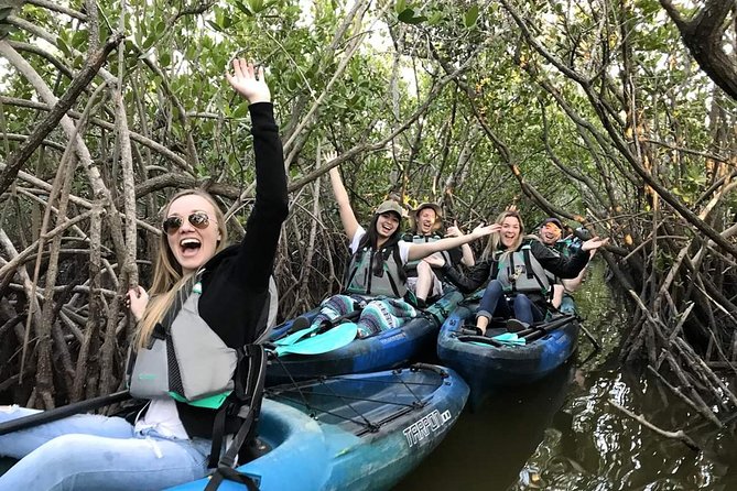 Thousand Island Mangrove Tunnel, Manatee & Dolphin Kayak Tour w/Cocoa Kayaking - Key Highlights That Make This Tour Worth Your Time