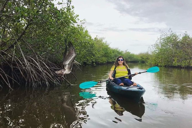 Thousand Island Mangrove Tunnel, Manatee & Dolphin Kayak Tour w/Cocoa Kayaking - The 10-person max: how the guide keeps the pace right for you