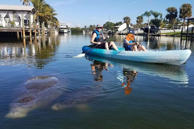 Thousand Island Mangrove Tunnel, Manatee & Dolphin Kayak Tour w/Cocoa Kayaking - Inside the mangrove tunnel maze: why it feels serene (and why you should look often)