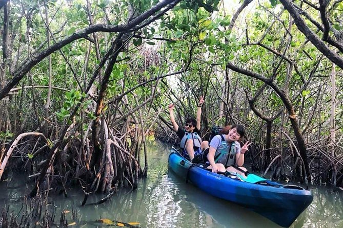 Thousand Island Mangrove Tunnel, Manatee & Dolphin Kayak Tour w/Cocoa Kayaking - What to bring (and what to skip): your packing list for a comfy paddle