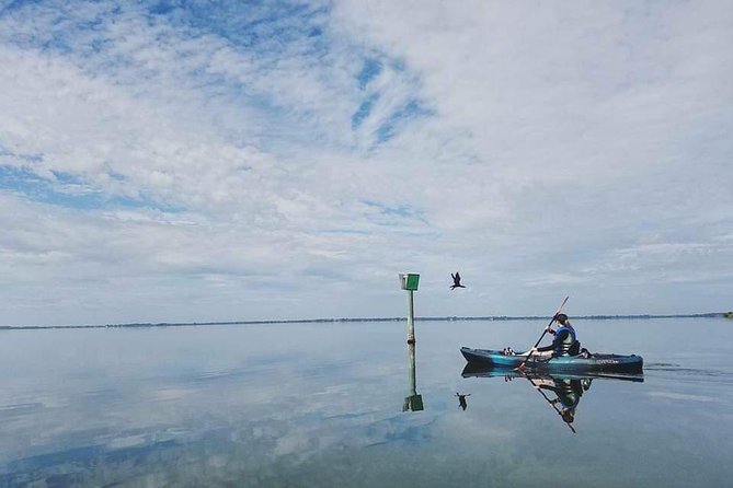 Thousand Island Mangrove Tunnel, Manatee & Dolphin Kayak Tour w/Cocoa Kayaking - Price and value: $69.08 for 2.5 hours, photos included