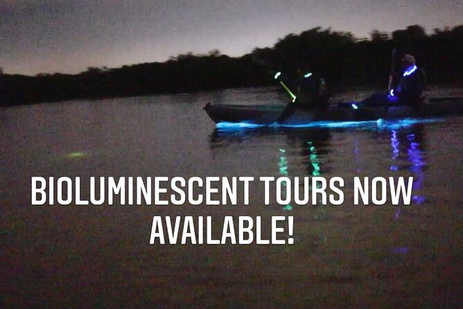 Thousand Islands Bioluminescent Kayak Tour with Cocoa Kayaking! - Glow Spotting 101: What to Watch For When It’s Dark