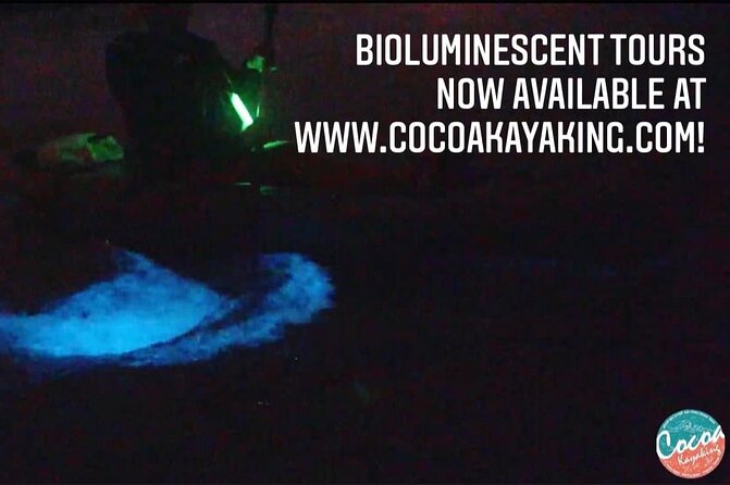 Thousand Islands Bioluminescent Kayak Tour with Cocoa Kayaking! - Wildlife Bonuses: Fish, Dolphins, Alligators, and the Unexpected