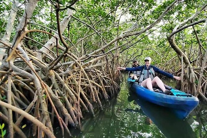 Thousand Islands Mangrove Tunnel Kayak Tour with Cocoa Kayaking! - Key Highlights You’ll Feel on the Water