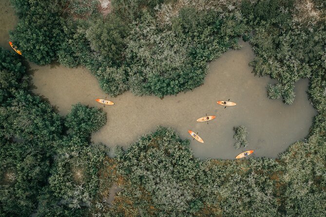 Thousand Islands Mangrove Tunnel Kayak Tour with Cocoa Kayaking! - Timing, Pace, and Group Size: Why Max 10 People Feels Better