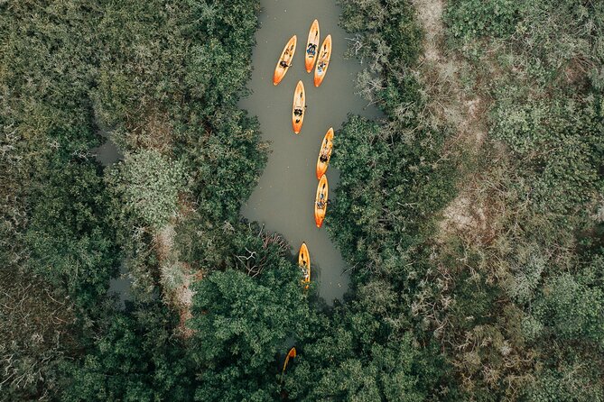 Thousand Islands Mangrove Tunnel Kayak Tour with Cocoa Kayaking! - Safety and Practical Gear Details That Matter