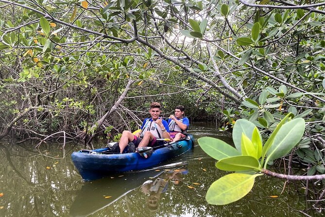 Thousand Islands Mangrove Tunnel Sunset Kayak Tour with Cocoa Kayaking! - What the Guides Actually Do for You