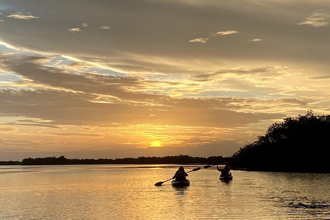 Thousand Islands Mangrove Tunnel Sunset Kayak Tour with Cocoa Kayaking! - Manatees, Dolphins, and the Conservation Angle