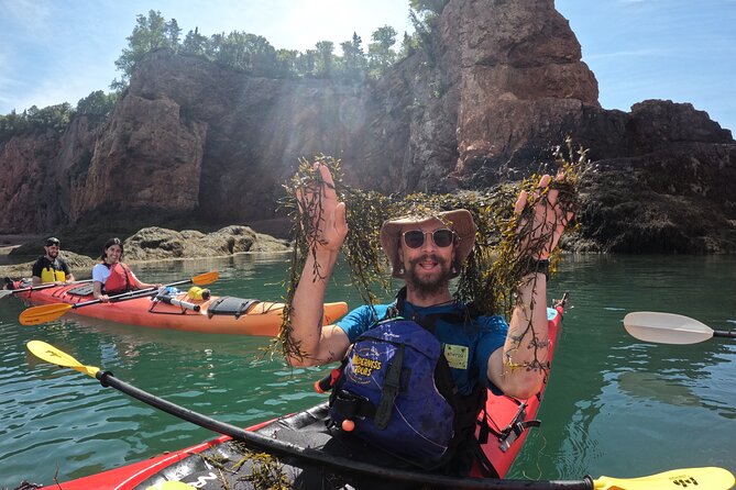 Three Sisters Sea Kayaking Day Tour - Who Should Book This Sea Kayak Day Tour