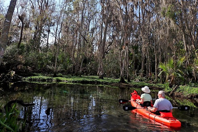 Three Sisters Springs Kayak And Swim Eco-Tour Crystal River - Key things I’d clock before you go