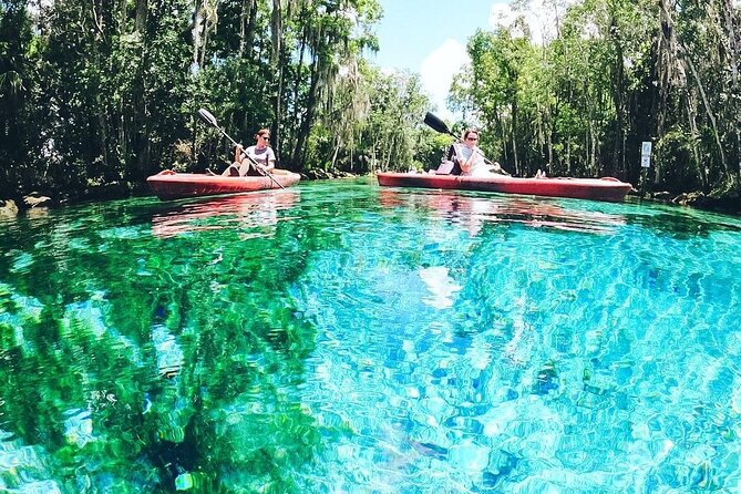Three Sisters Springs Kayak And Swim Eco-Tour Crystal River - Your gear: sit-on-top kayak comfort and real swim time