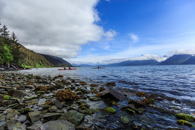 Tonsina Point Kayak and Exploration - Price and Value: Where the Money Goes (and Where It Doesn’t)