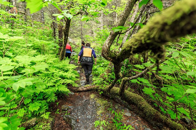 Tonsina Point Kayak and Exploration - Who Should Book This Kayak and Exploration Trip