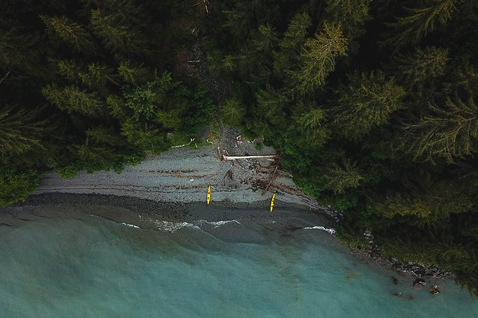 Tonsina Point Kayak and Exploration - Resurrection Bay Shoreline Kayaking: Marine Life and Glacial Vistas
