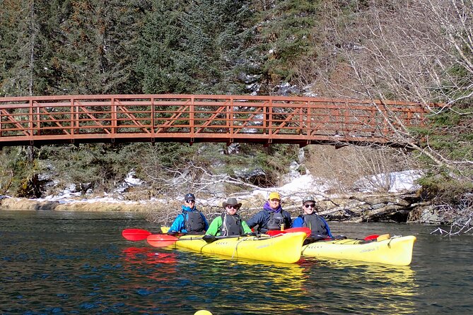 Tonsina Point Kayak in Resurrection Bay - The itinerary in plain English: what happens at each moment