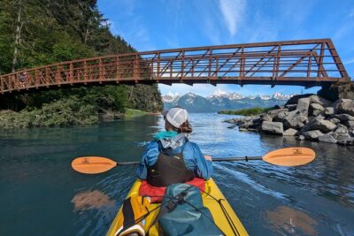 Tonsina Point Kayak in Resurrection Bay - Wildlife watching: how to spot eagles, otters, seals, and more
