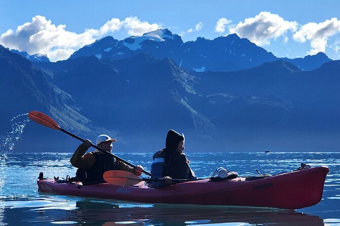 Tonsina Point Kayak in Resurrection Bay - Should you book the Tonsina Point Kayak trip?