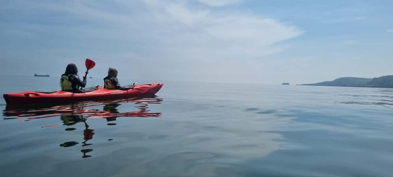 Torquay: Guided Wildlife, Bushcraft, Sea Cave Kayak Safari - Key highlights you’ll remember