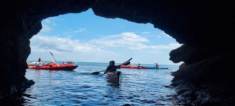 Torquay: Guided Wildlife, Bushcraft, Sea Cave Kayak Safari - Fossil hunting on the beach: the stop that turns sightseeing into science