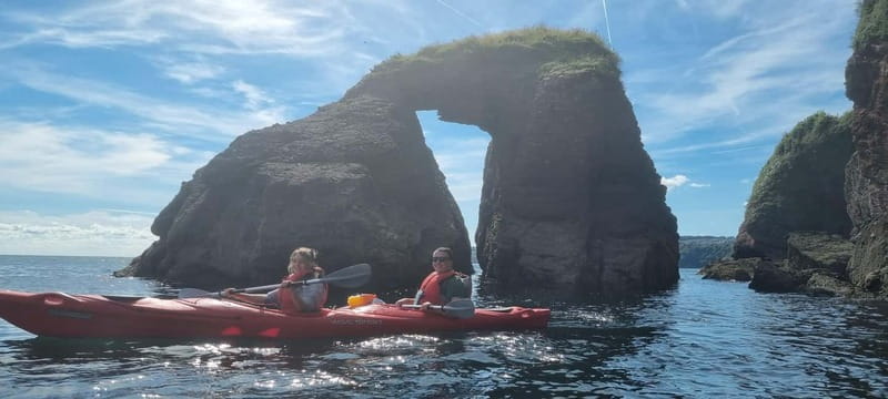 Torquay: Guided Wildlife, Bushcraft, Sea Cave Kayak Safari - Seal and cetacean spotting from your kayak (and how to handle a no-sighting day)