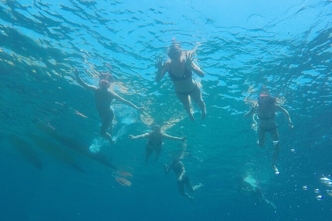 Tossa de Mar: Kayak & Snorkel Tour with Paella from Barcelona - Who should book this Tossa kayak-and-snorkel day trip