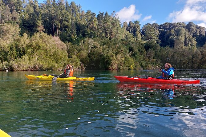 Tour Guiado en Kayak por Rio Maullin / Medío dia en Pto. Varas - Paddle Setup at Cahuil Adventure: Gear, Safety, and Andes Framing