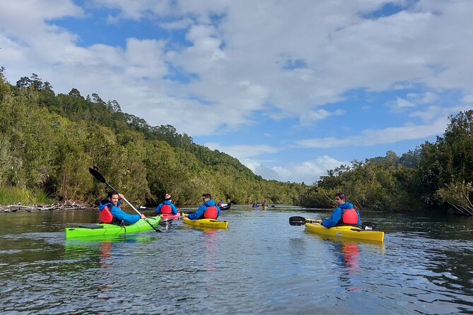 Tour Guiado en Kayak por Rio Maullin / Medío dia en Pto. Varas - Private Tour Comfort: This Isn’t a Crowd Ride