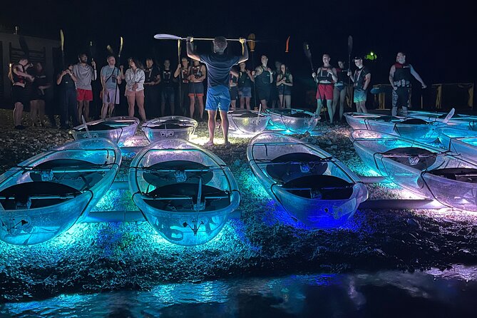 Transparent Kayak Night Glow Experience from Pula - Dolphins, fish, and realistic expectations for the Adriatic at night