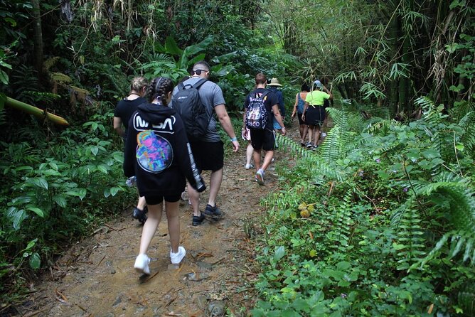 Trio Tour: El Yunque, Luquillo Beach, and Bio Bay Night Kayaking - The Pace: A 12-Hour Day That Feels Busy, Not Chaos