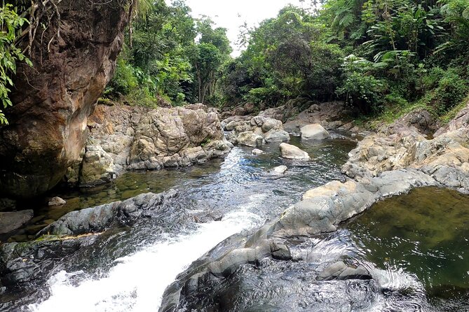 Trio Tour: El Yunque, Luquillo Beach, and Bio Bay Night Kayaking - What the Tour Price Includes (and Why It’s Fair)