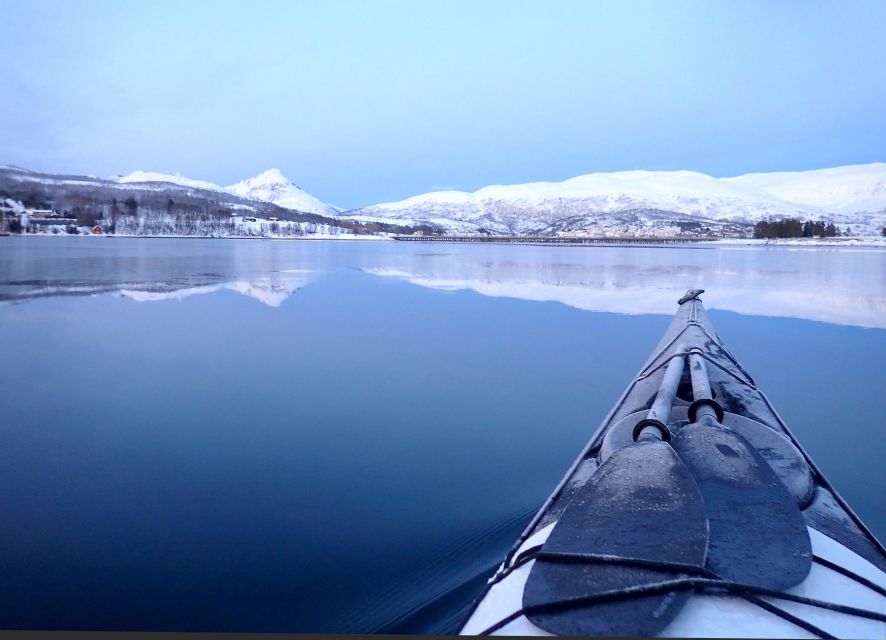 Tromsø: Winter Sea Kayaking Tour with Wildlife Sightings - Kayaking Tromsø’s Arctic fjords in winter: what you’re really signing up for