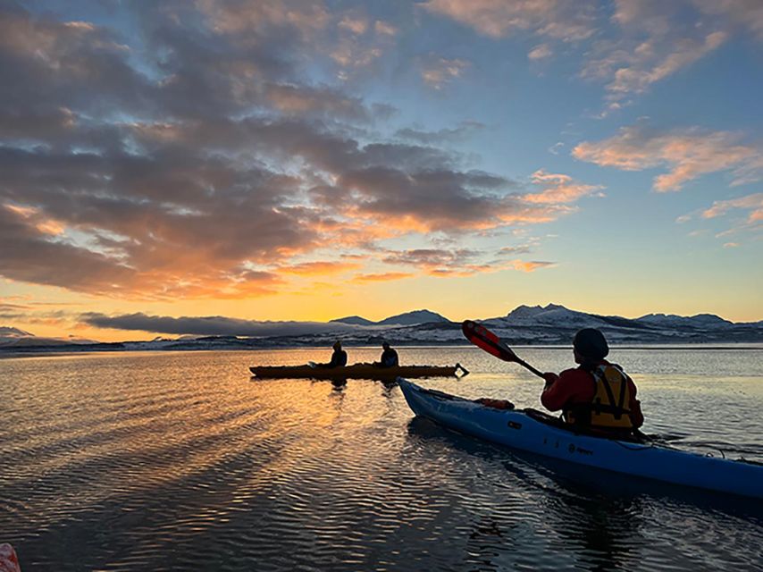 Tromsø: Winter Sea Kayaking Tour with Wildlife Sightings - Drysuits and technique: staying warm and paddling with confidence