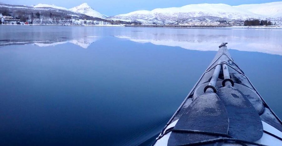 Tromsø: Winter Sea Kayaking Tour with Wildlife Sightings - Wildlife sightings: what you can realistically hope to see
