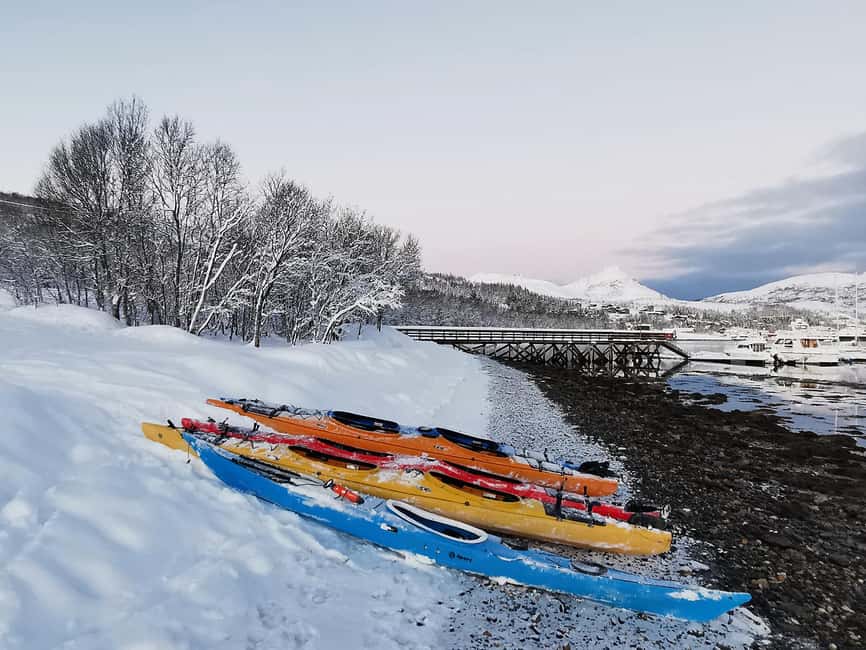 Tromsø: Winter Sea Kayaking Tour with Wildlife Sightings - The fire and hot drink reset: why it’s more than a snack
