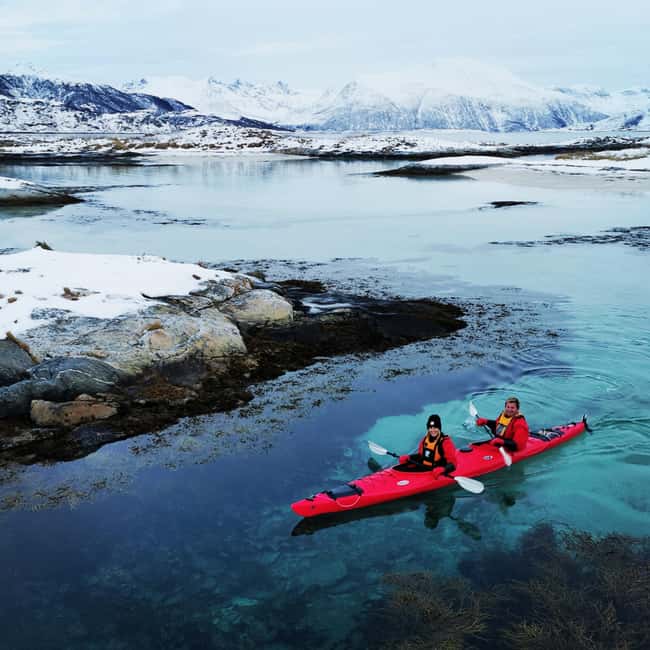 Tromsø: Winter Sea Kayaking Tour with Wildlife Sightings - Price and value: is $191 a good deal for winter kayaking?