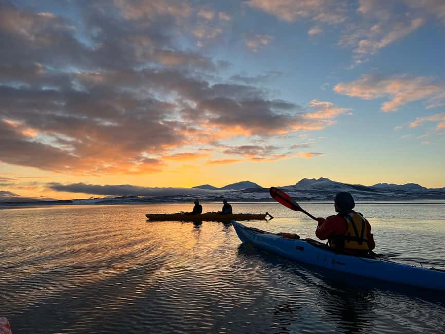 Tromsø: Winter Sea Kayaking Tour with Wildlife Sightings - Who should book this tour, and who should skip it