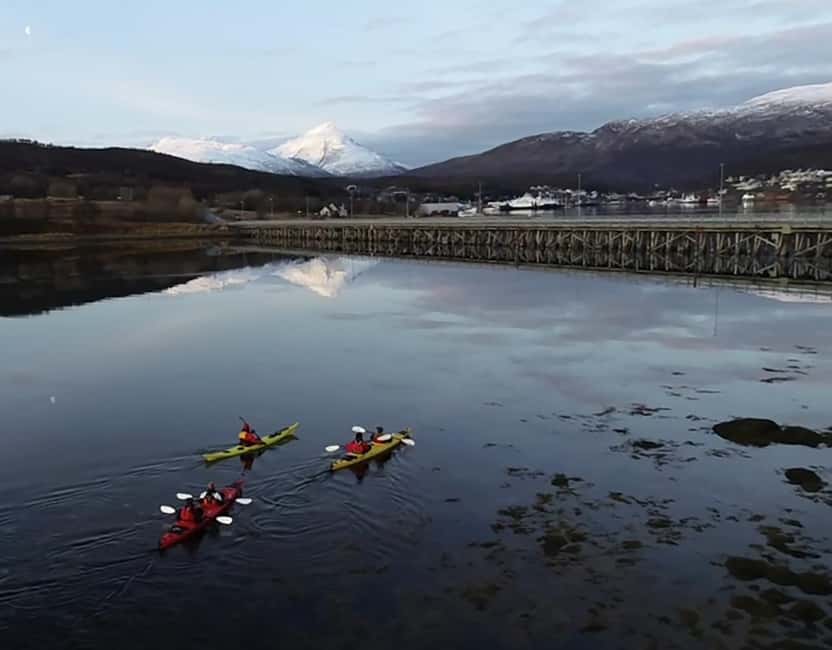 Tromsø: Winter Sea Kayaking Tour with Wildlife Sightings - Who This Tour Is Best For (and Who Should Skip It)