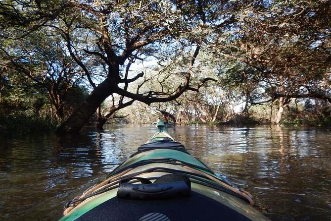 TRU KAYAK - Cruise along the majestic Uruguay River - Getting to the departure point: what you control and what you don’t