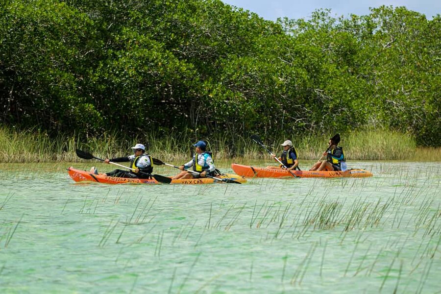 Tulum: Sian Ka'an Biosphere Reserve Kayak Tour - Breakfast first: what a Mayan palapa meal does for you