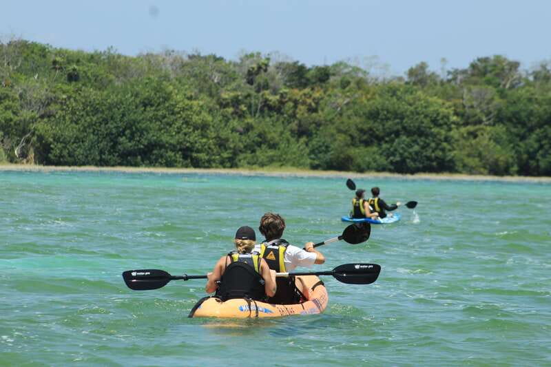 Tulum: Sian Ka'an Biosphere Reserve Kayak Tour - Kayaking at Laguna de Muyil: ecosystems, birds, and the real pace