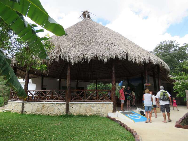 Tulum: Sian Ka'an Biosphere Reserve Kayak Tour - Lunch at Chunyaxché: a real Mayan meal after the paddle