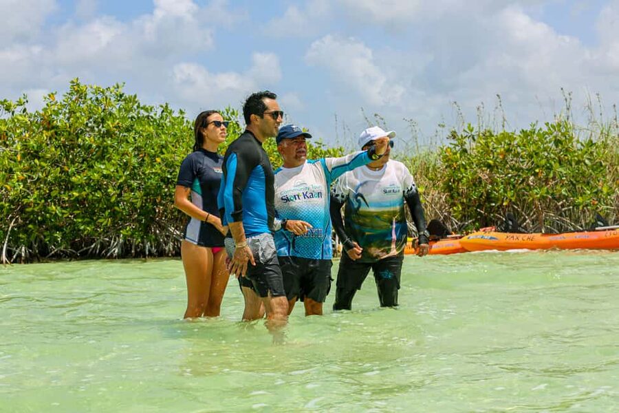 Tulum: Sian Ka'an Biosphere Reserve Kayak Tour - Getting there from Tulum: the van ride sets the day’s pace